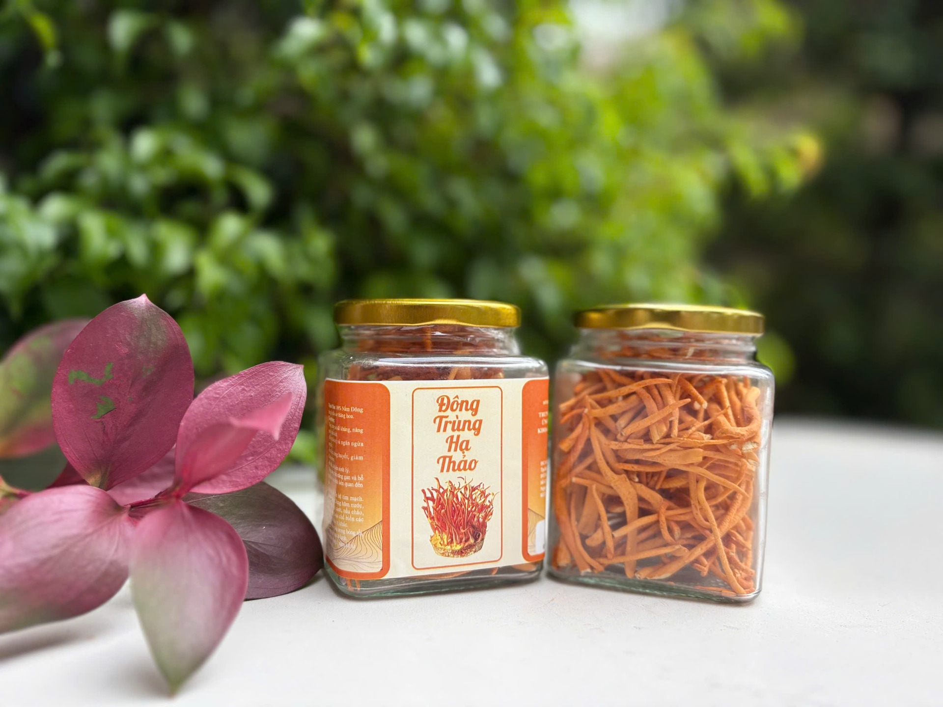 ĐÔNG TRÙNG HẠ THẢO – DƯỠNG CHẤT TỪ THIÊN NHIÊN, CHĂM SÓC SỨC KHỎE TỪ TÂM